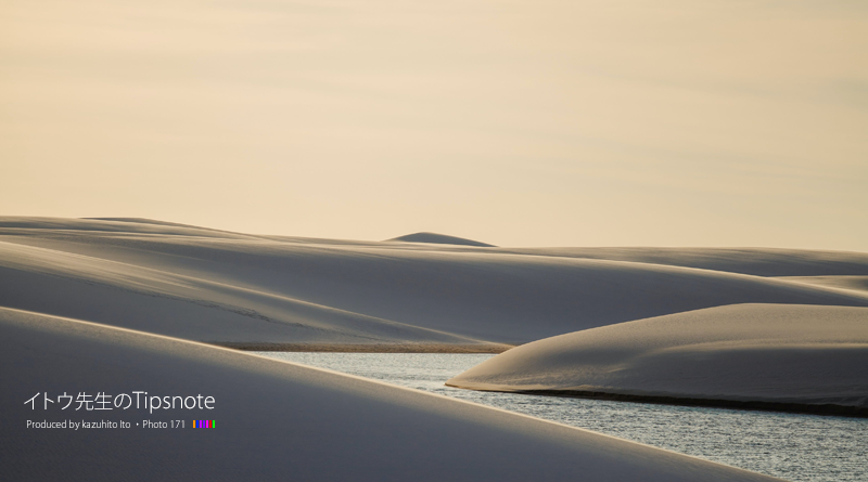 Illustrator 2024】 寸法ツール（Beta） | イトウ先生のTips note